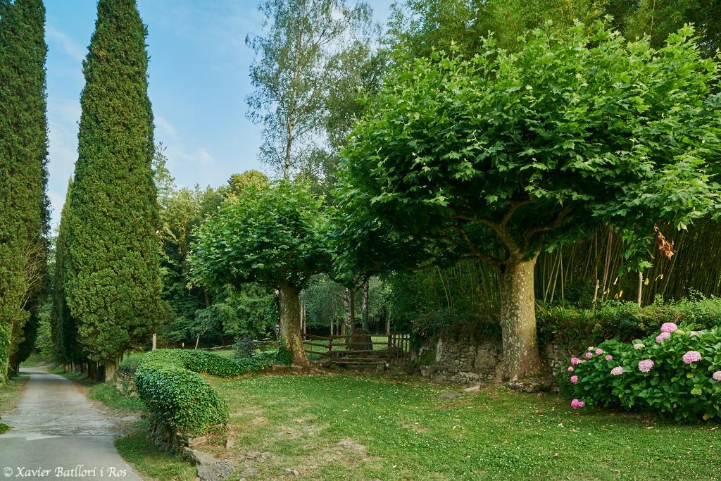 Apartamentos Fonda Finet Sant Felíu de Pallarols Exterior foto